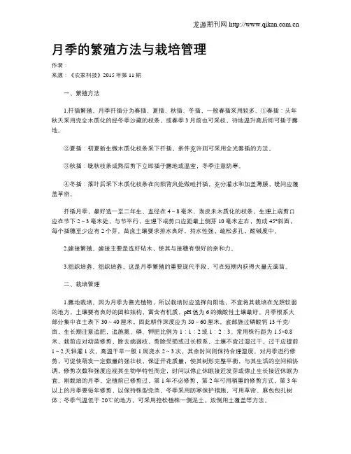 月季的繁殖方法与栽培管理
