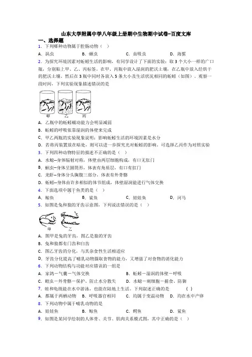 山东大学附属中学八年级上册期中生物期中试卷-百度文库