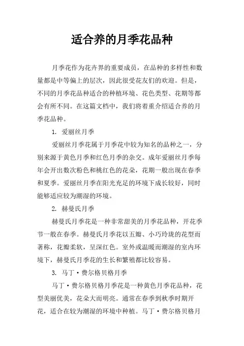 适合养的月季花品种