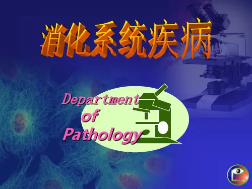 病理学教学课件：消化系统疾病 胃炎