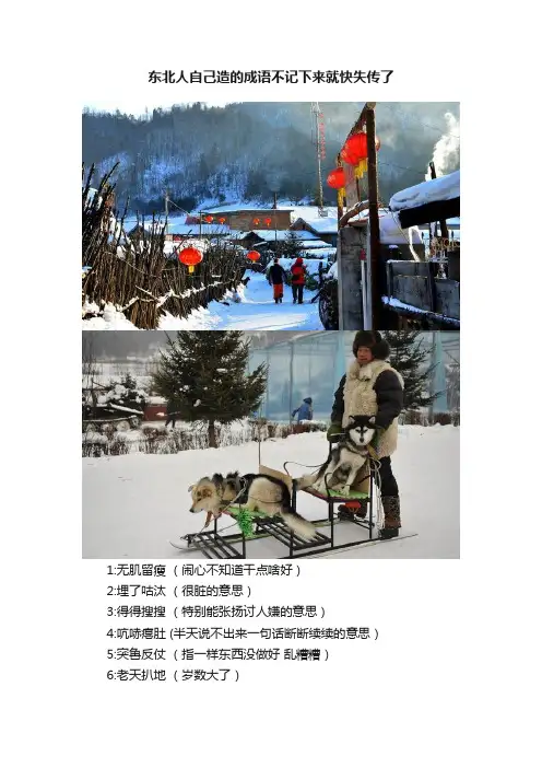 东北人自己造的成语不记下来就快失传了