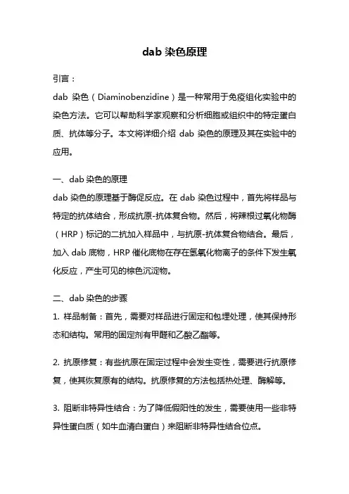 dab染色原理