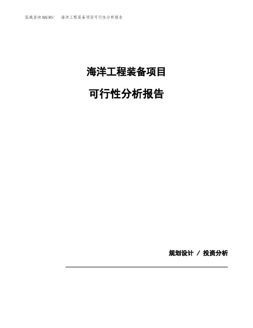 海洋工程装备项目可行性分析报告(模板参考范文)