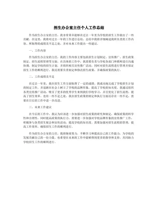 招生办公室主任个人工作总结