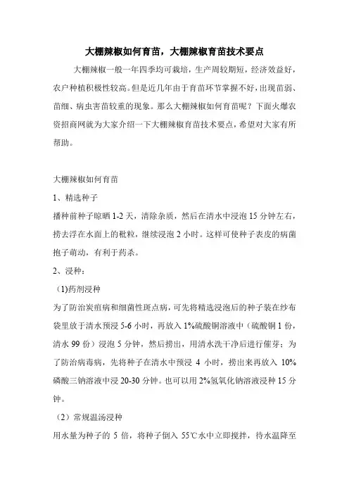 大棚辣椒如何育苗,大棚辣椒育苗技术要点.doc