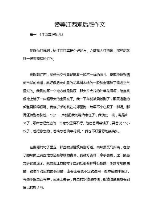赞美江西观后感作文