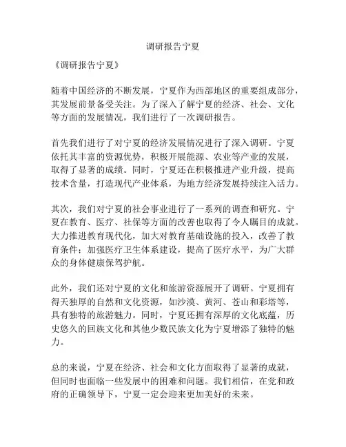 调研报告宁夏