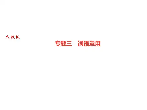 人教部编版(广东)八年级语文上册课件：专题三 词语运用(共11张PPT)