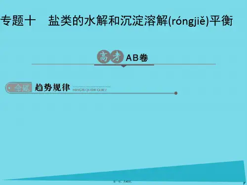 高考化学一轮总复习专题十盐类的水解和沉淀溶解平衡课件