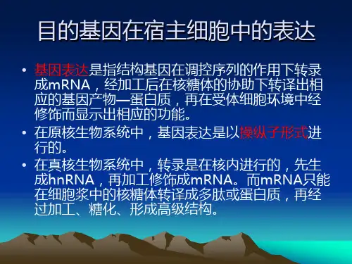 目的基因在宿主细胞中的表达