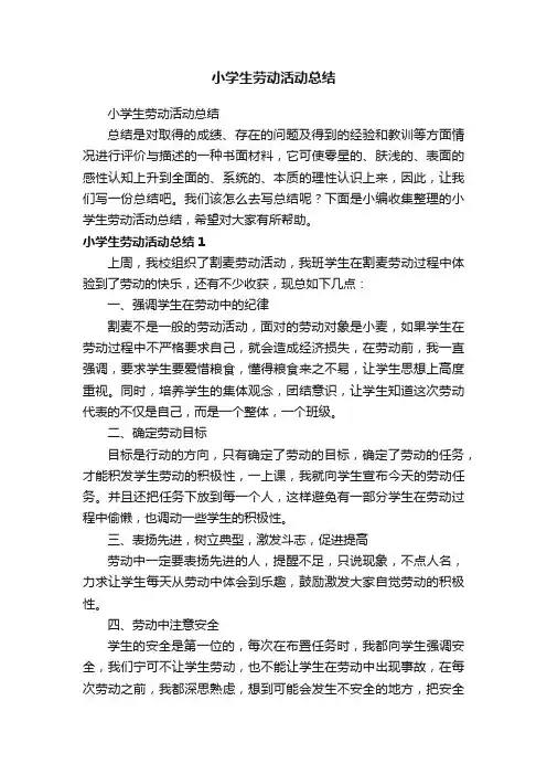 小学生劳动活动总结