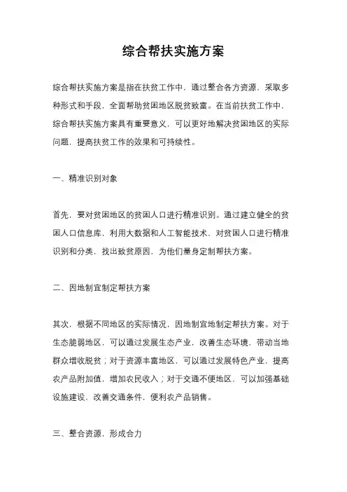 综合帮扶实施方案