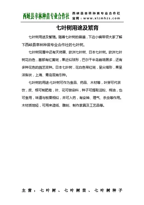 七叶树用途及繁殖