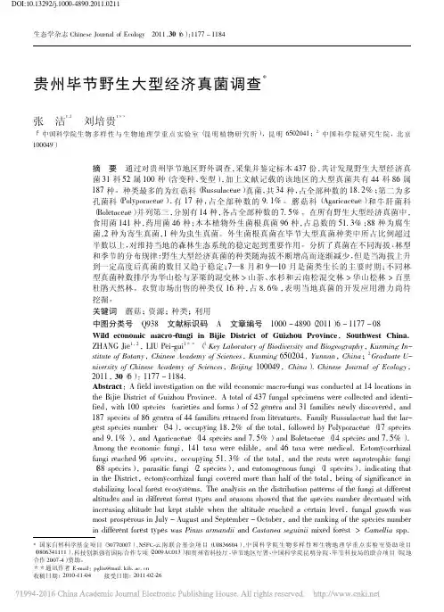 贵州毕节野生大型经济真菌调查_张洁