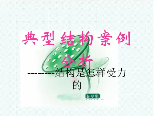 福建省高二通用技术 典型结构案例分析教学课件 精品