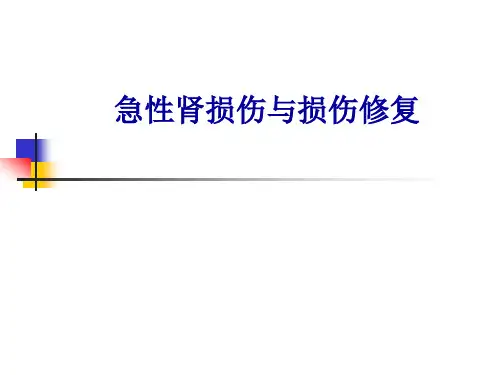 急性肾损伤.ppt