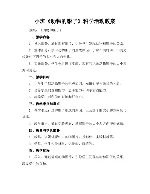 小班《动物的影子》科学活动教案