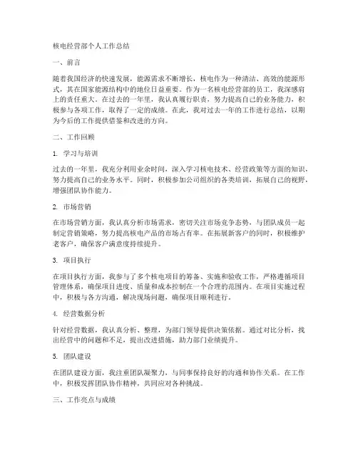 核电经营部个人工作总结