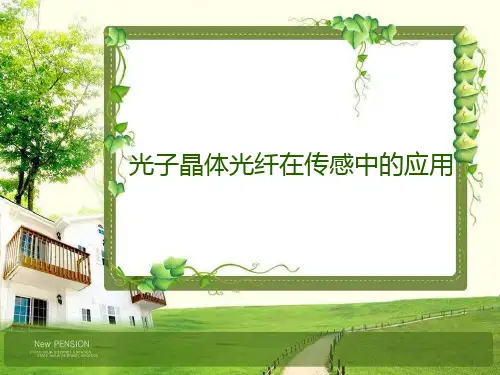 光子晶体光纤在传感中的应用PPT课件
