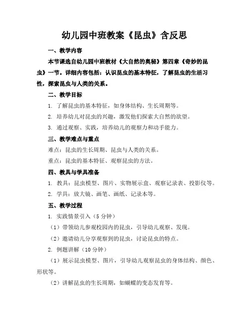 幼儿园中班教案《昆虫》含反思