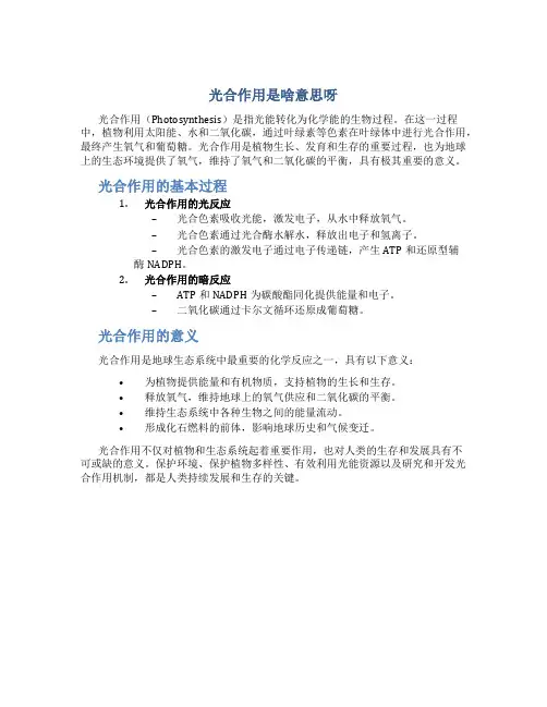 光合作用是啥意思呀