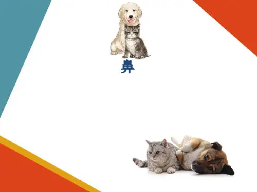 动物呼吸系统—呼吸器官(宠物解剖生理课件)