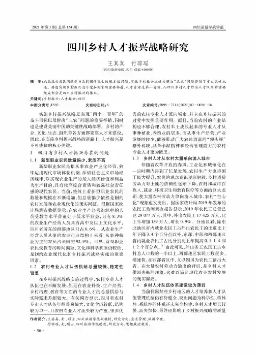 四川乡村人才振兴战略研究