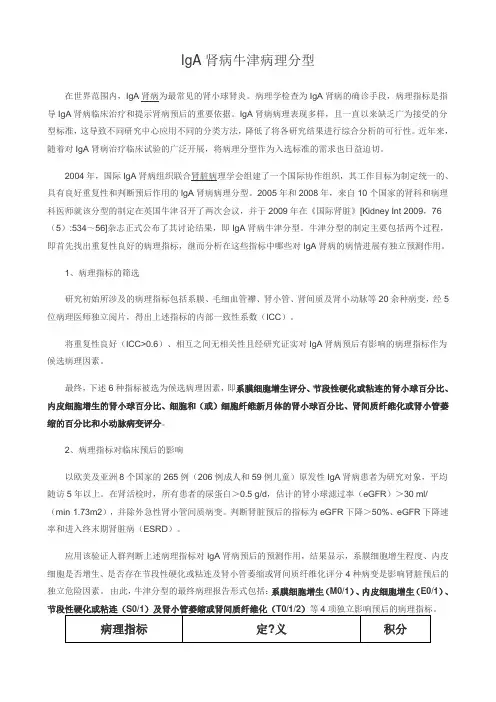 IgA肾病牛津病理分型