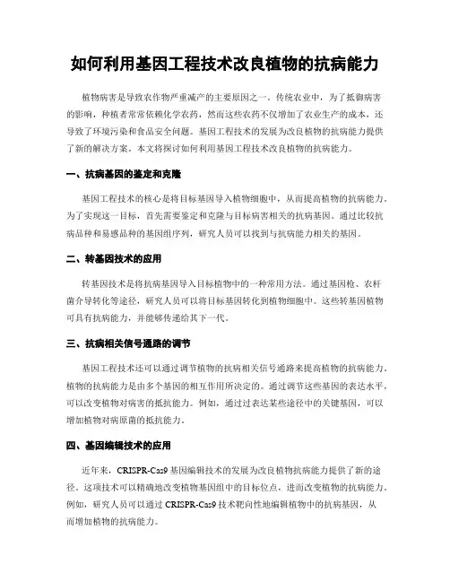如何利用基因工程技术改良植物的抗病能力