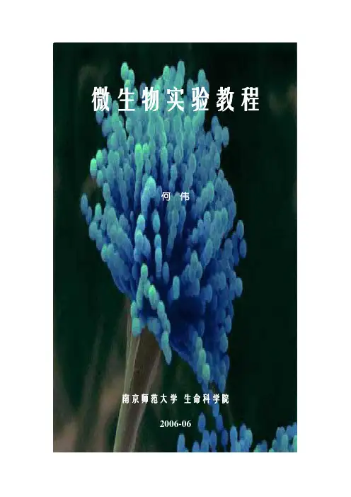 微生物实验教程