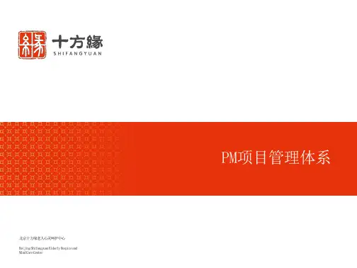 pm项目管理体系