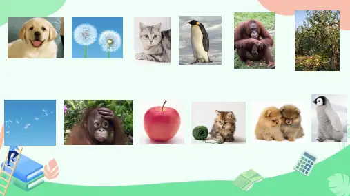 20.1++遗传和变异现象++课件-2024-2025学年北师大版生物八年级上册
