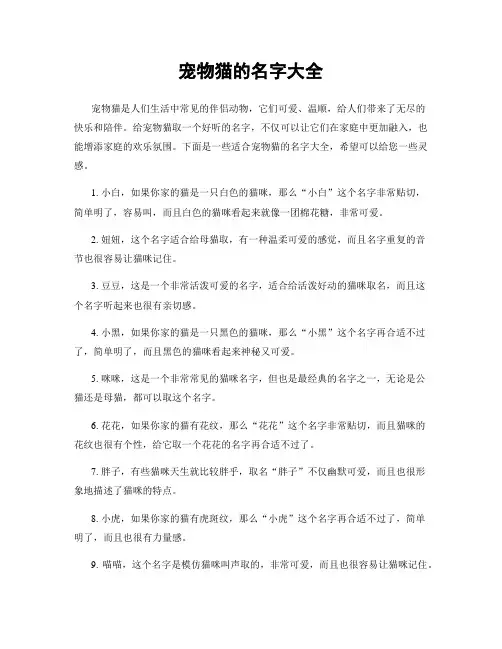 宠物猫的名字大全