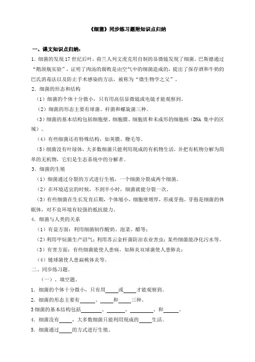 2.2.2细菌同步练习 (含答案)(附知识点归纳)冀少版(2024)生物七年级上册