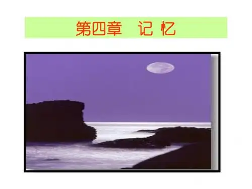 记忆