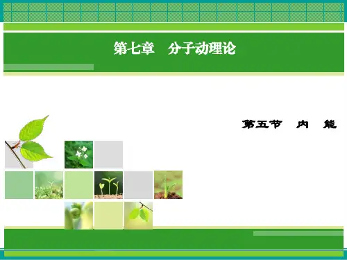 物理(人教版选修3-3)课件第7章第5节内能