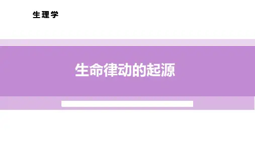 4.2.2窦房结细胞的生物电现象及形成机制