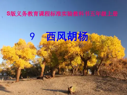 【语文S版】五年级上册语文课件：9 西风胡杨(共20张PPT)