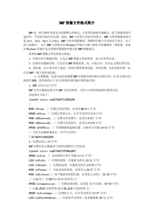 BMP图像文件格式简介