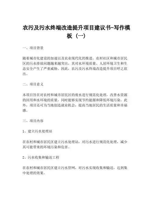 农污及污水终端改造提升项目建议书-写作模板 (一)