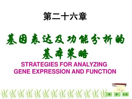 8年制生物化学与分子生物学 第26章 基因表达及功能分析基本策略