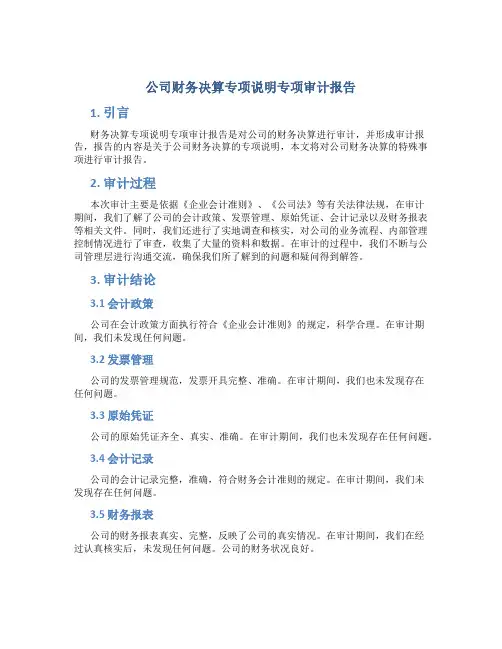 公司财务决算专项说明专项审计报告