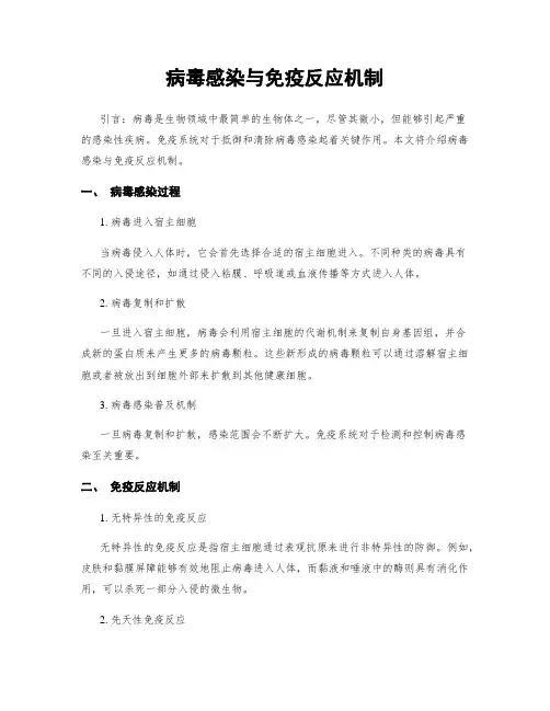 病毒感染与免疫反应机制