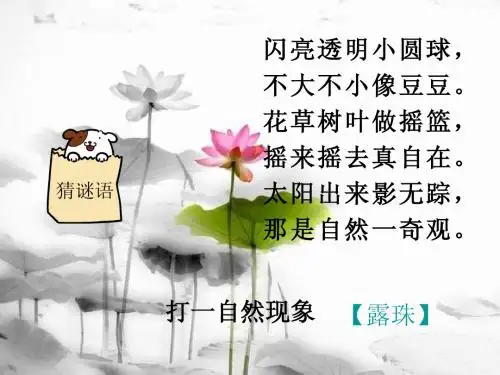 《小露珠》教学课件