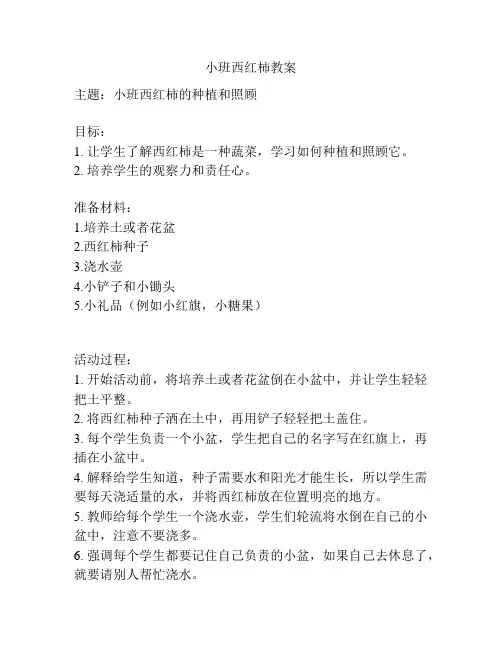 小班西红柿教案
