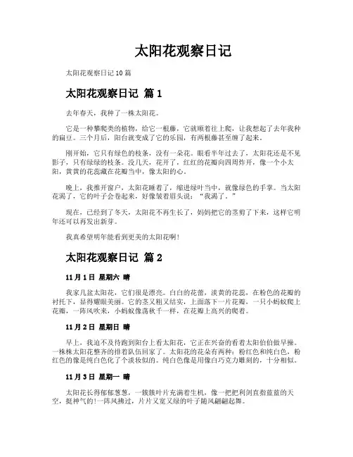太阳花观察日记