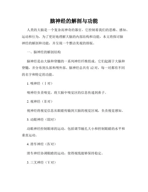 脑神经的解剖与功能