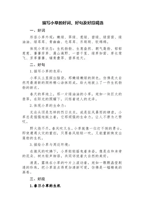 描写小草的好词、好句及好段精选