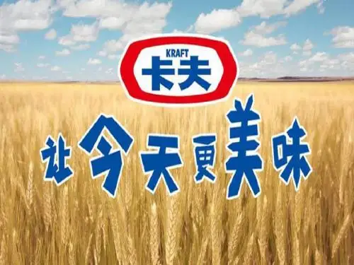 卡夫公司简介与市场策略