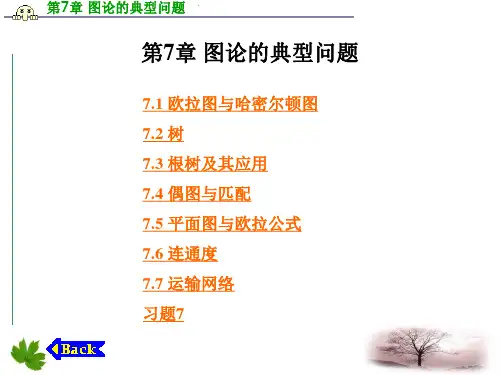 离散数学__图论的典型问题